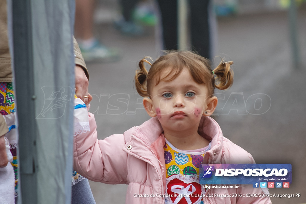 Circuito de Corridas Rústicas Cidade dos Pássaros 2016