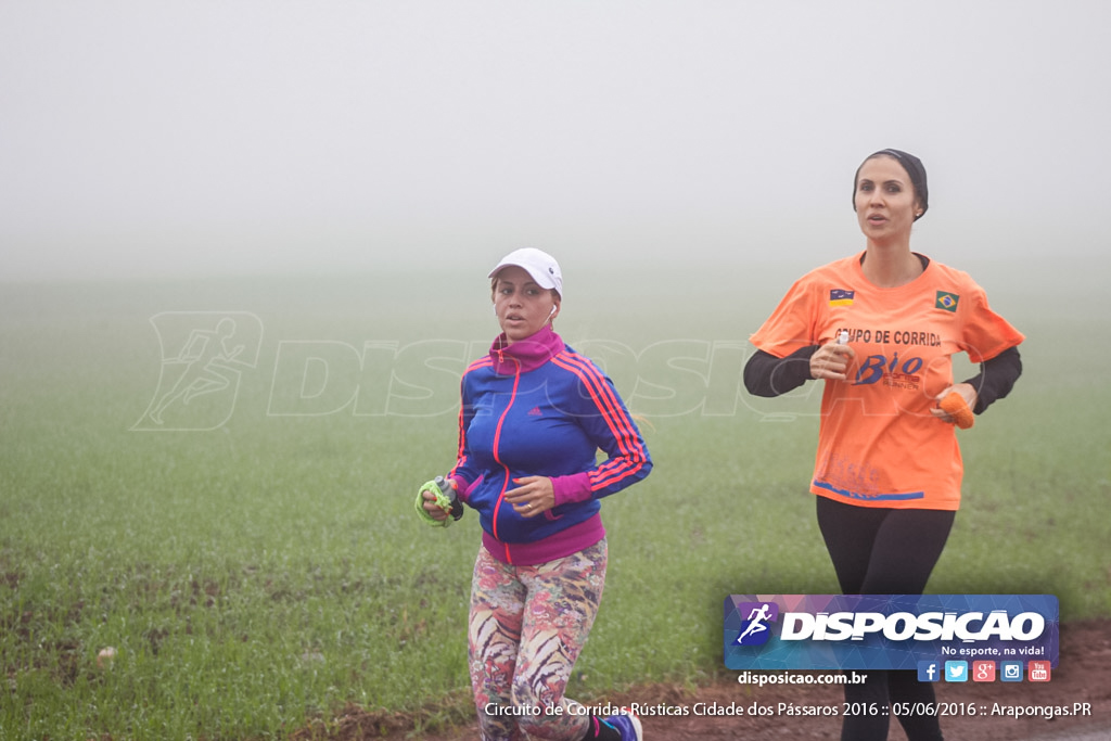 Circuito de Corridas Rústicas Cidade dos Pássaros 2016