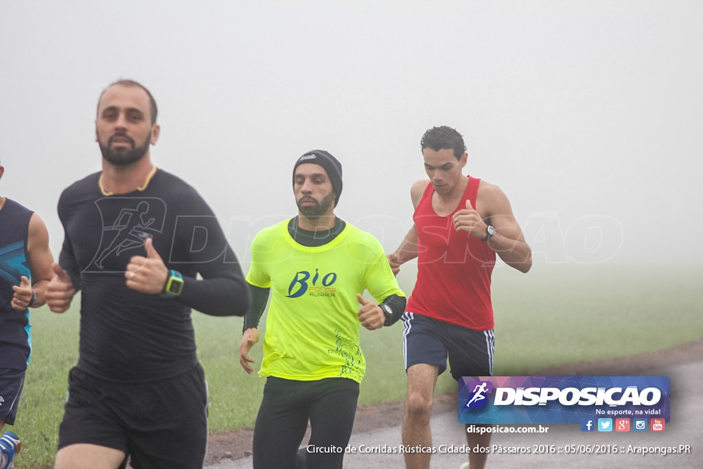 Circuito de Corridas Rústicas Cidade dos Pássaros 2016