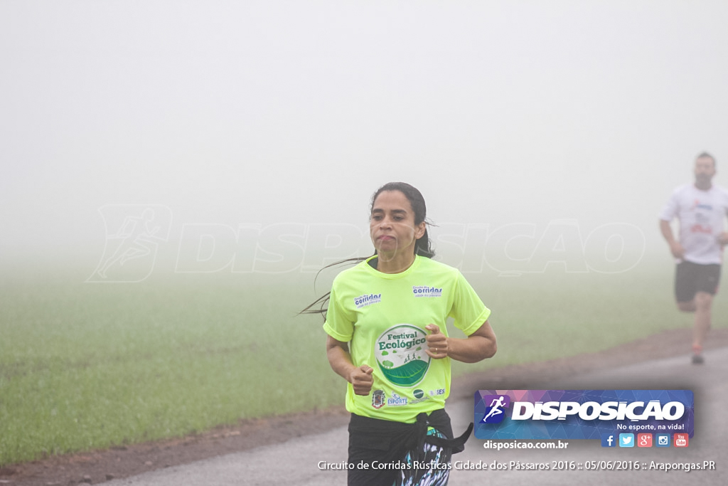 Circuito de Corridas Rústicas Cidade dos Pássaros 2016