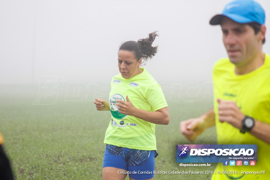 Circuito de Corridas Rústicas Cidade dos Pássaros 2016