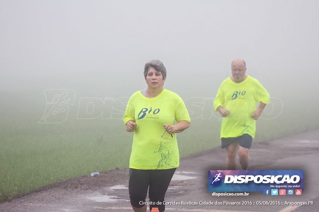 Circuito de Corridas Rústicas Cidade dos Pássaros 2016