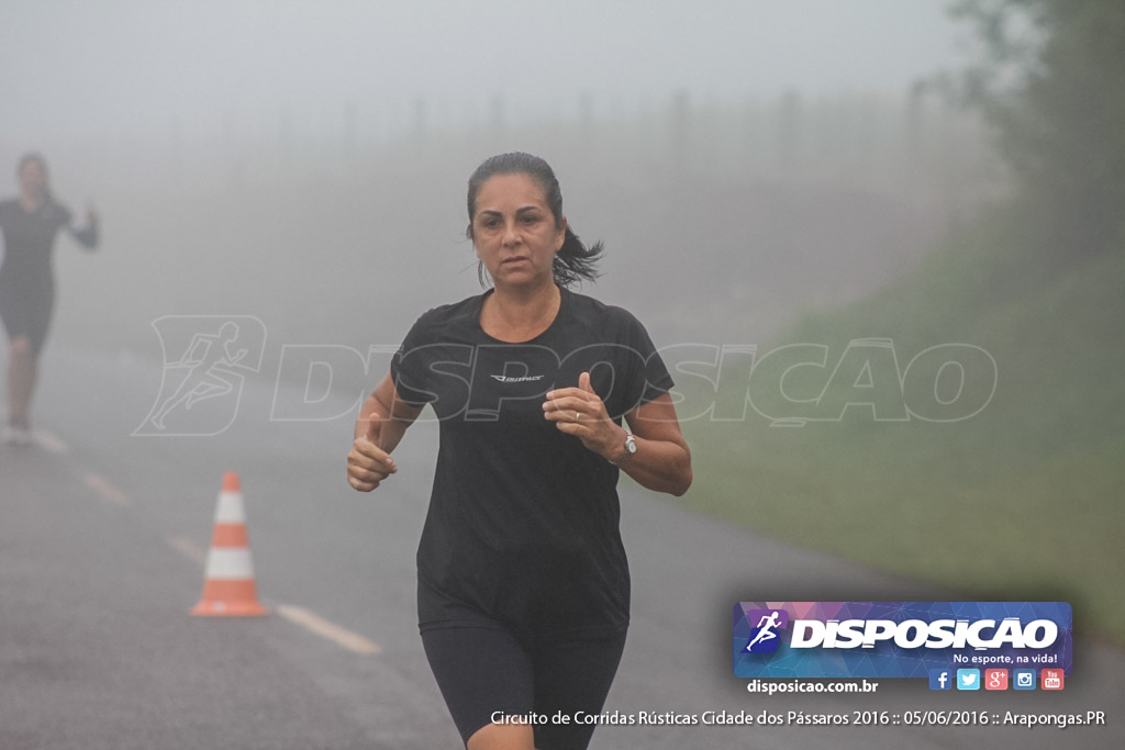 Circuito de Corridas Rústicas Cidade dos Pássaros 2016