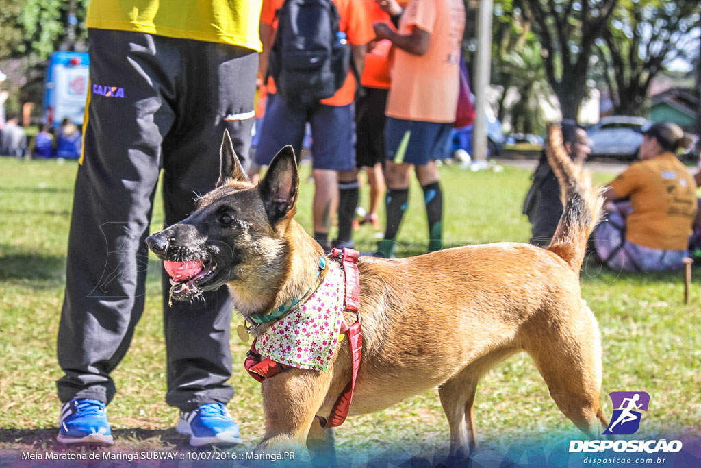 Meia Maratona Subway de Maringá 2016