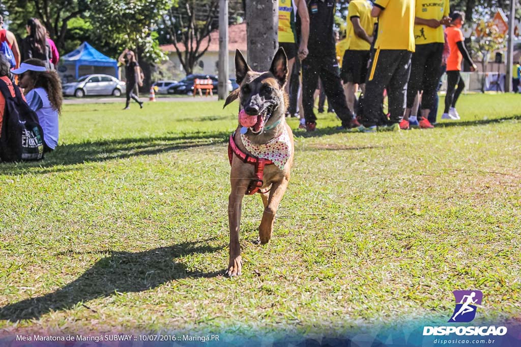 Meia Maratona Subway de Maringá 2016