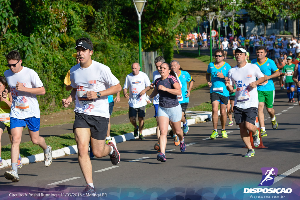 Circuito AYoshii Running 2016 :: Etapa Maringá