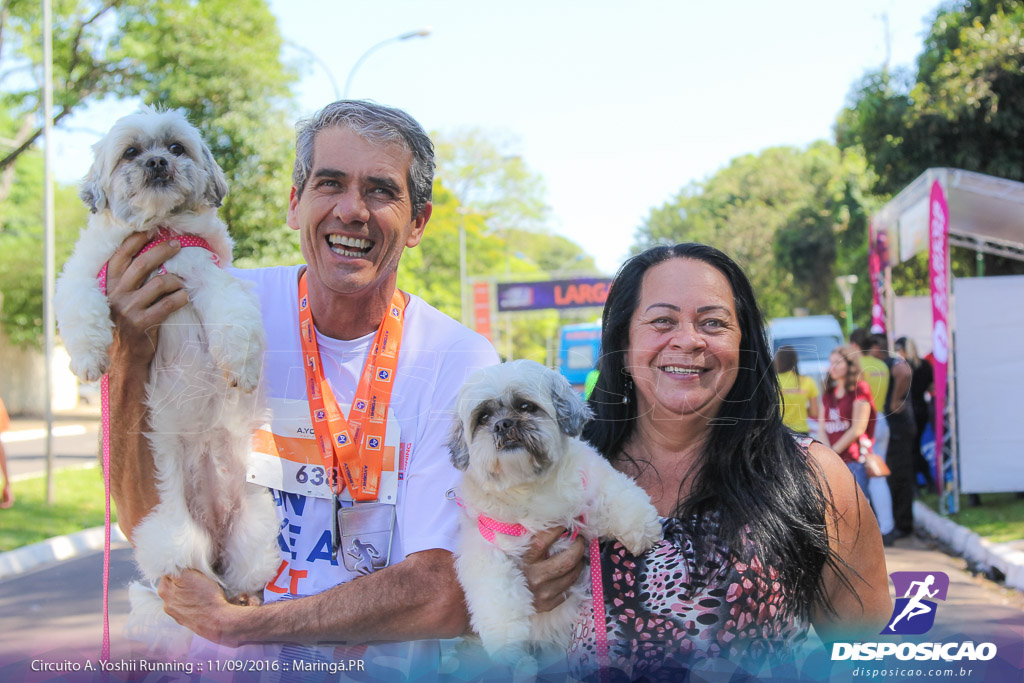 Circuito AYoshii Running 2016 :: Etapa Maringá