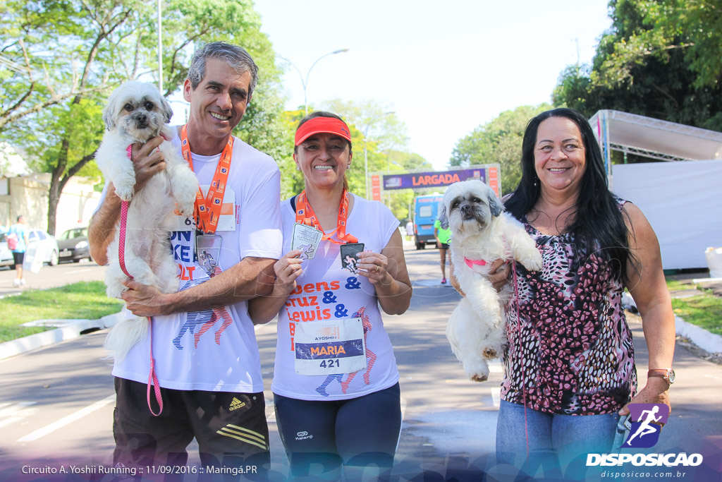 Circuito AYoshii Running 2016 :: Etapa Maringá