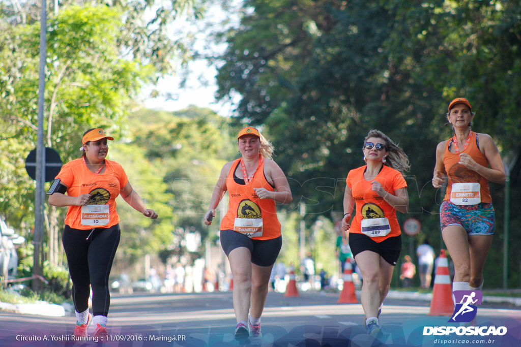 Circuito AYoshii Running 2016 :: Etapa Maringá