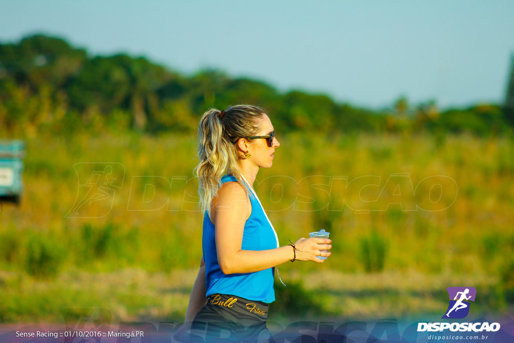 Corrida Sense Racing Maringá