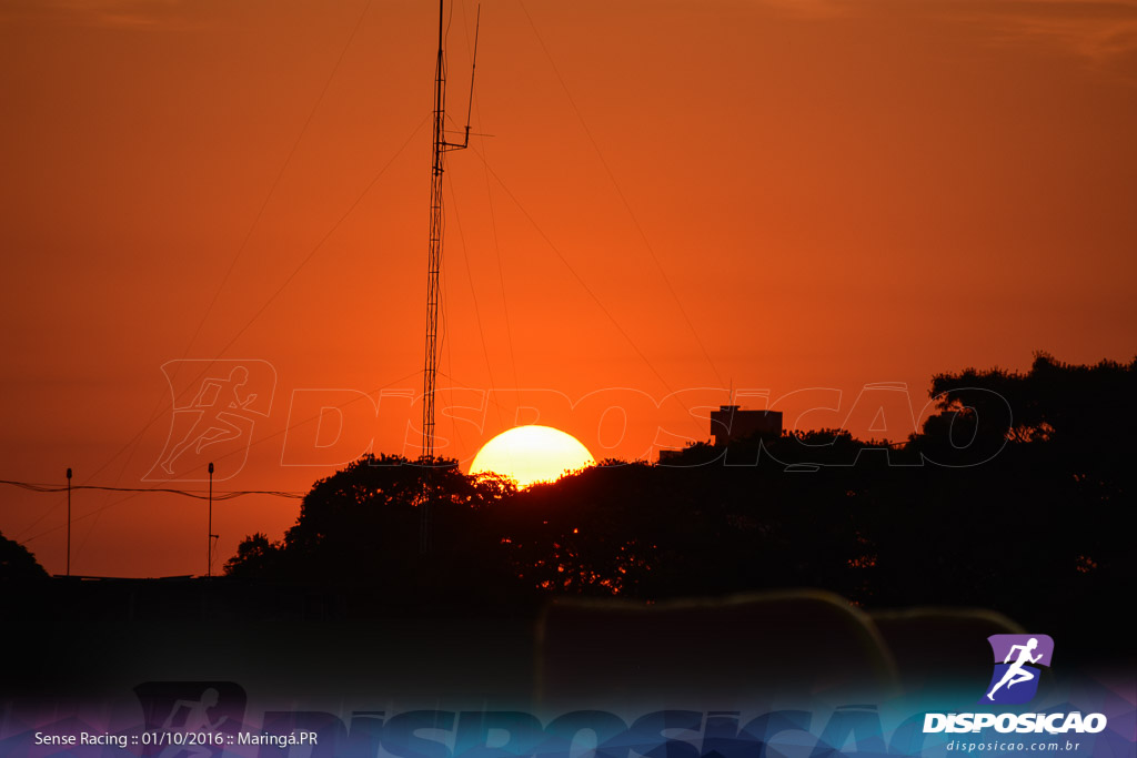 Corrida Sense Racing Maringá