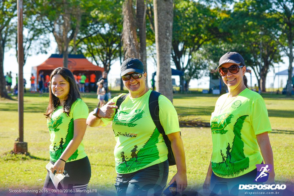 Sicoob Running: Prova Terezinha Guilhermina 2016