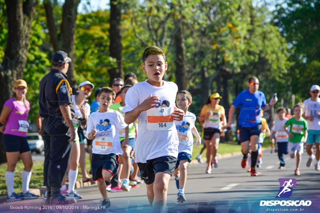 Sicoob Running: Prova Terezinha Guilhermina 2016