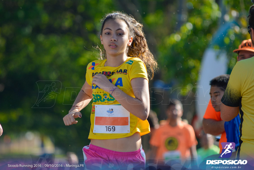 Sicoob Running: Prova Terezinha Guilhermina 2016