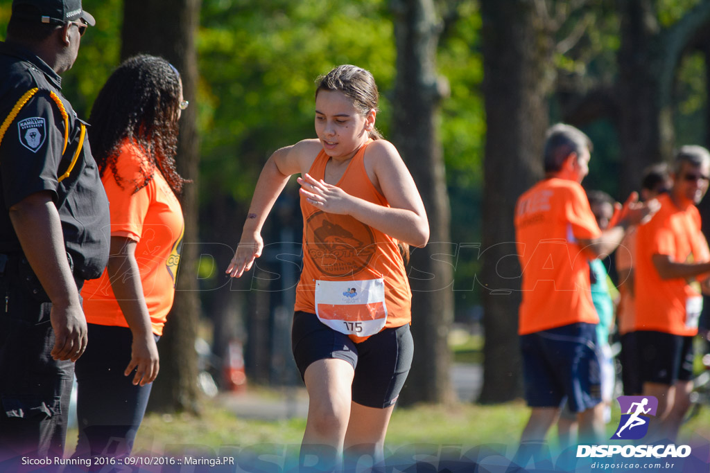 Sicoob Running: Prova Terezinha Guilhermina 2016