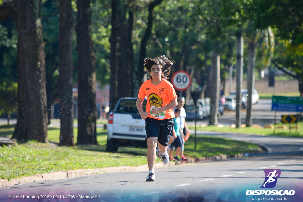 Sicoob Running: Prova Terezinha Guilhermina 2016