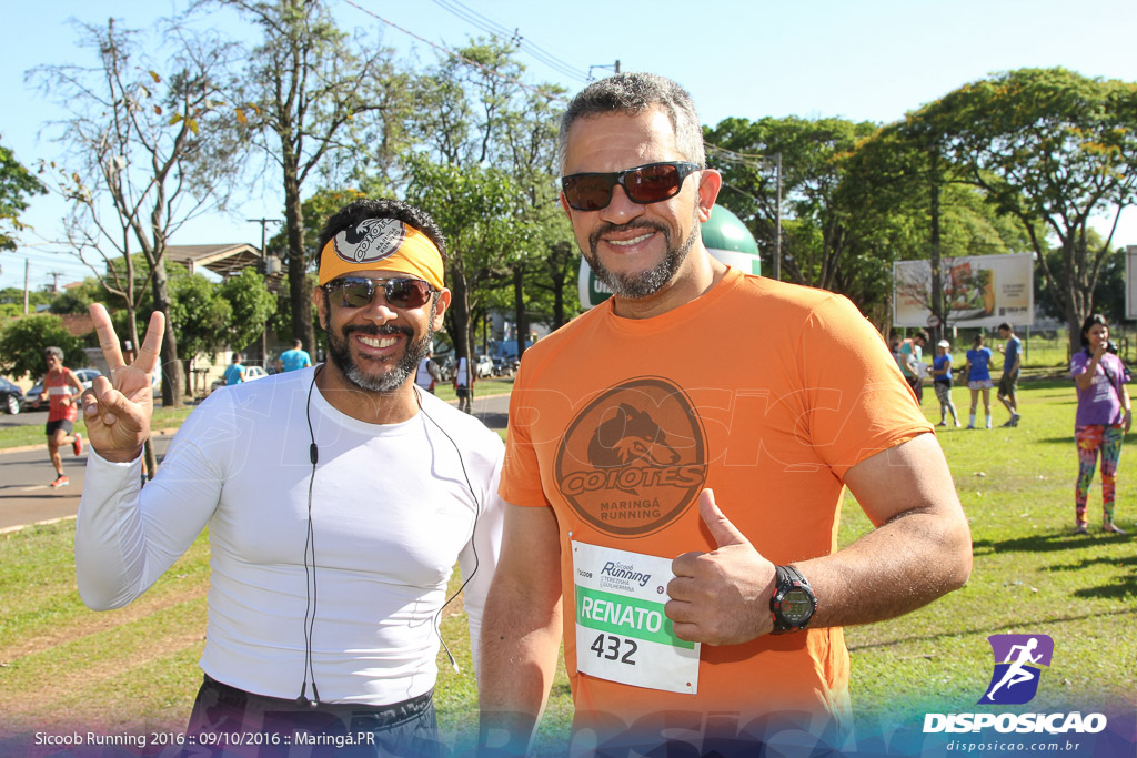 Sicoob Running: Prova Terezinha Guilhermina 2016