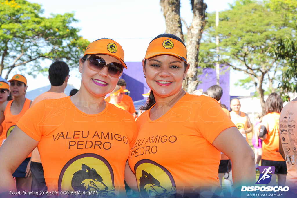 Sicoob Running: Prova Terezinha Guilhermina 2016