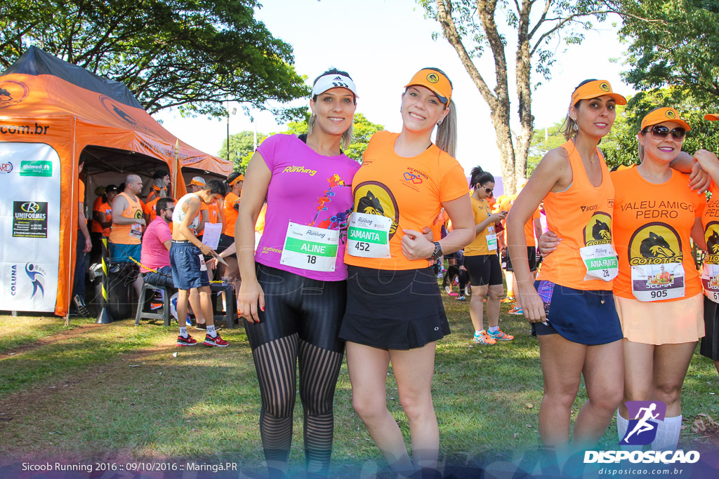 Sicoob Running: Prova Terezinha Guilhermina 2016