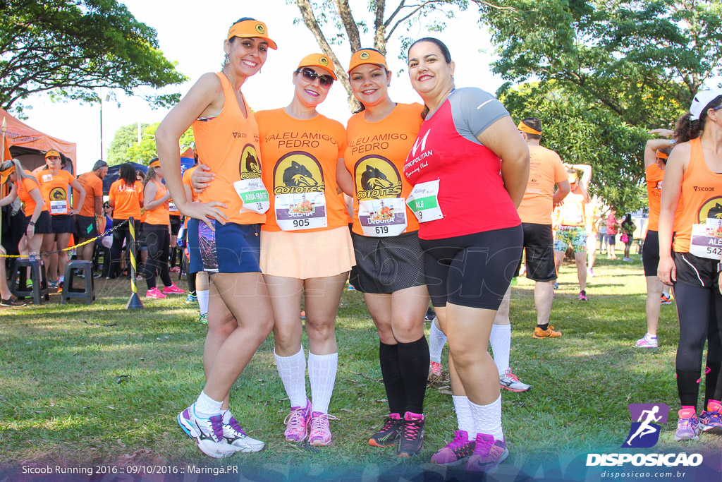 Sicoob Running: Prova Terezinha Guilhermina 2016