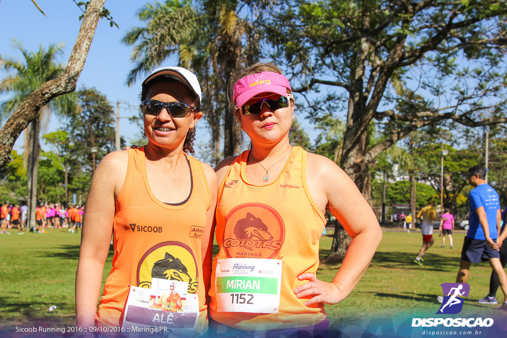 Sicoob Running: Prova Terezinha Guilhermina 2016