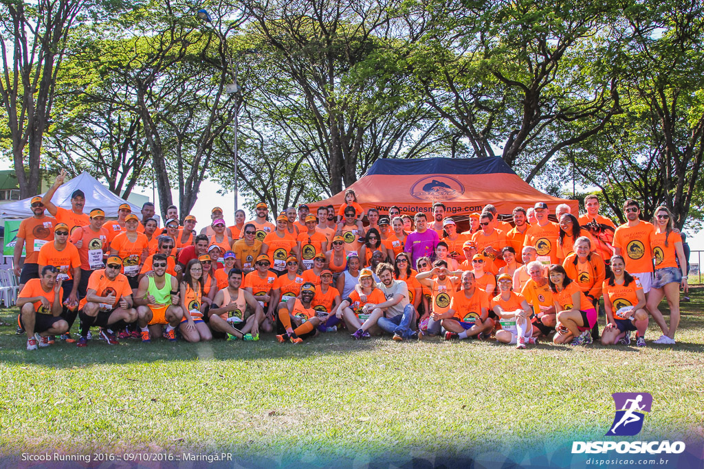 Sicoob Running: Prova Terezinha Guilhermina 2016