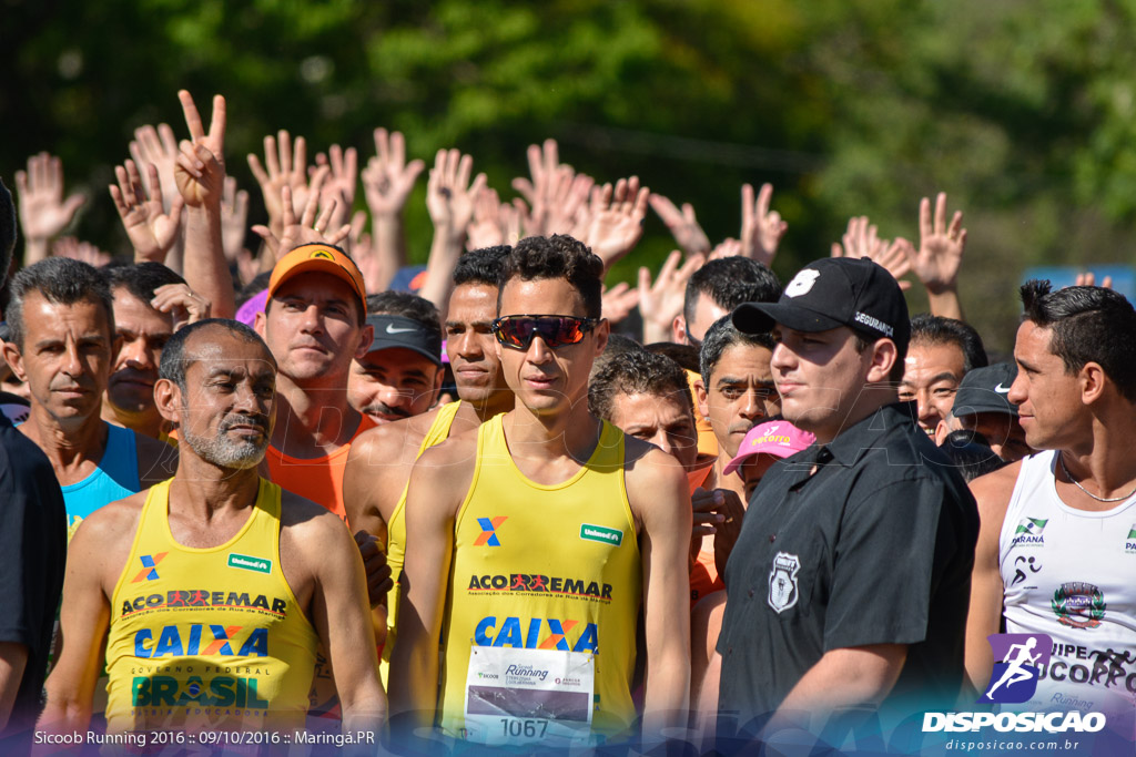 Sicoob Running: Prova Terezinha Guilhermina 2016