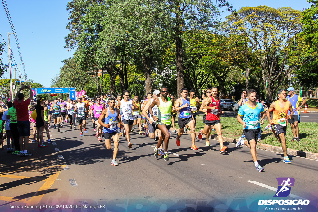 Sicoob Running: Prova Terezinha Guilhermina 2016