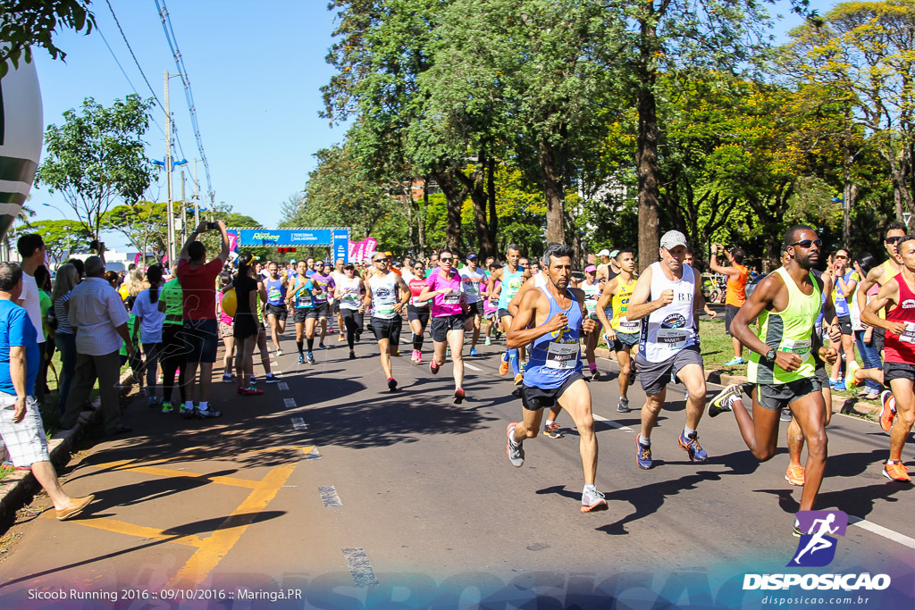 Sicoob Running: Prova Terezinha Guilhermina 2016