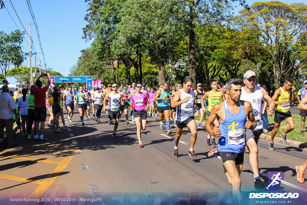 Sicoob Running: Prova Terezinha Guilhermina 2016