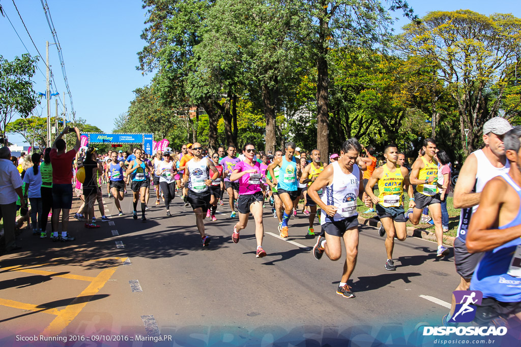 Sicoob Running: Prova Terezinha Guilhermina 2016