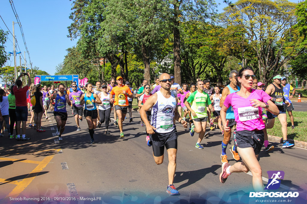 Sicoob Running: Prova Terezinha Guilhermina 2016