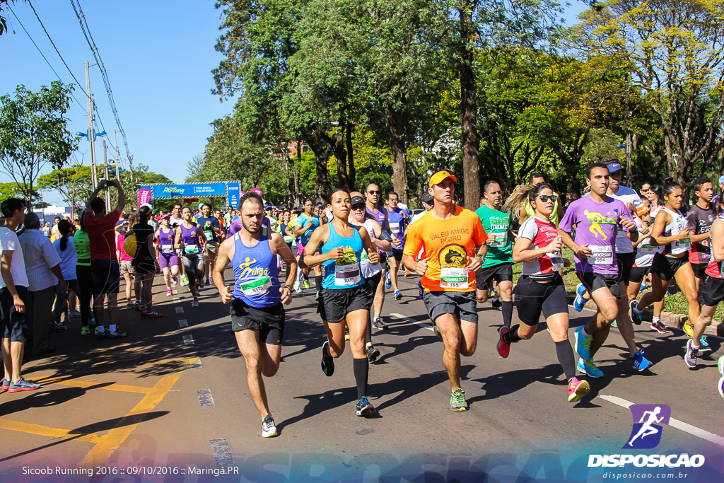 Sicoob Running: Prova Terezinha Guilhermina 2016