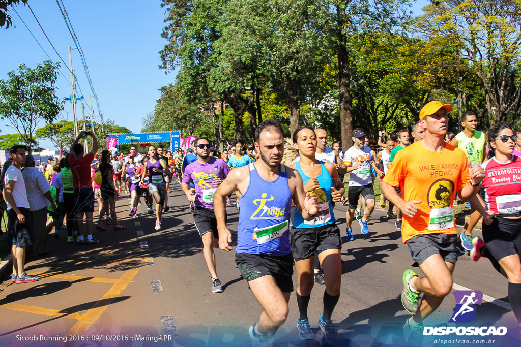 Sicoob Running: Prova Terezinha Guilhermina 2016