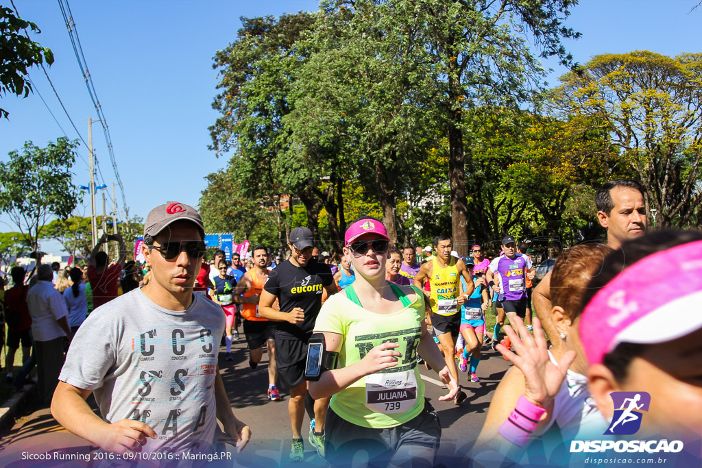 Sicoob Running: Prova Terezinha Guilhermina 2016