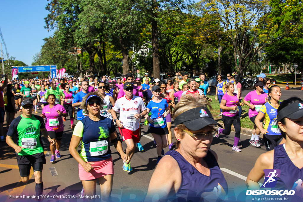 Sicoob Running: Prova Terezinha Guilhermina 2016