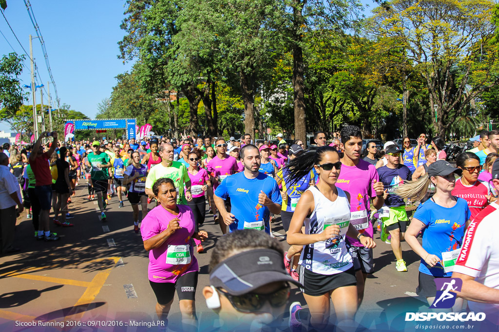 Sicoob Running: Prova Terezinha Guilhermina 2016