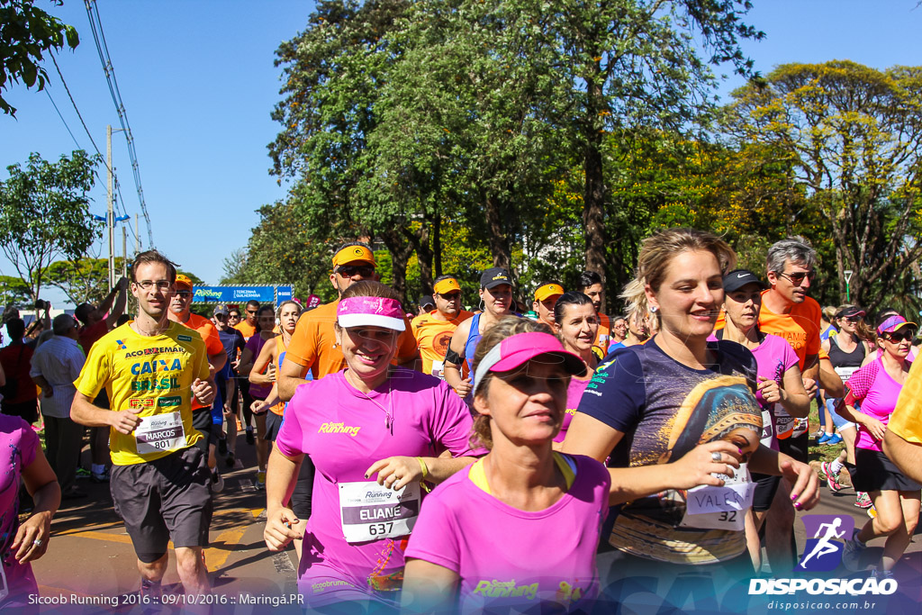 Sicoob Running: Prova Terezinha Guilhermina 2016