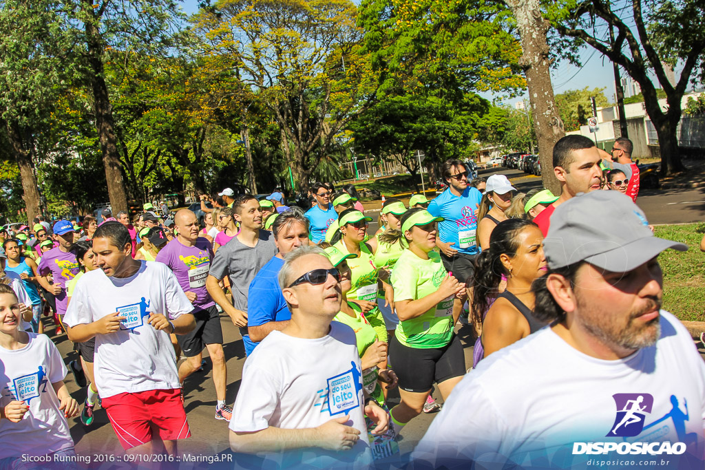 Sicoob Running: Prova Terezinha Guilhermina 2016