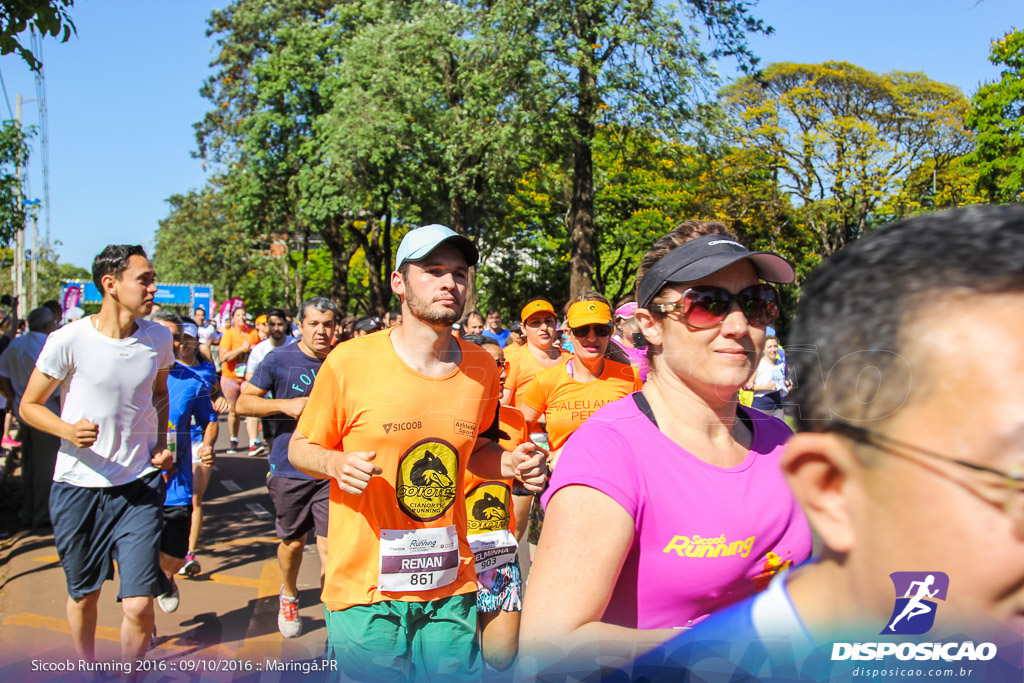 Sicoob Running: Prova Terezinha Guilhermina 2016