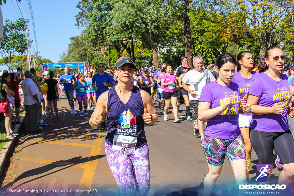 Sicoob Running: Prova Terezinha Guilhermina 2016