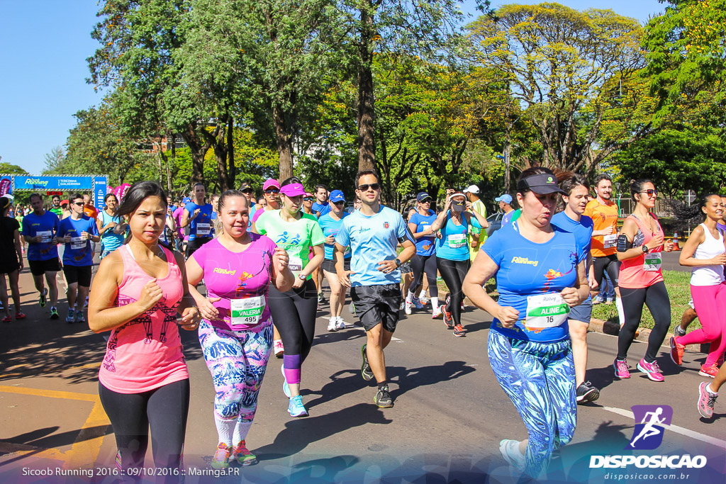 Sicoob Running: Prova Terezinha Guilhermina 2016