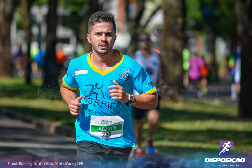 Sicoob Running: Prova Terezinha Guilhermina 2016