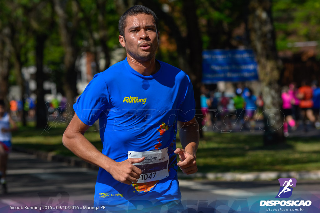 Sicoob Running: Prova Terezinha Guilhermina 2016