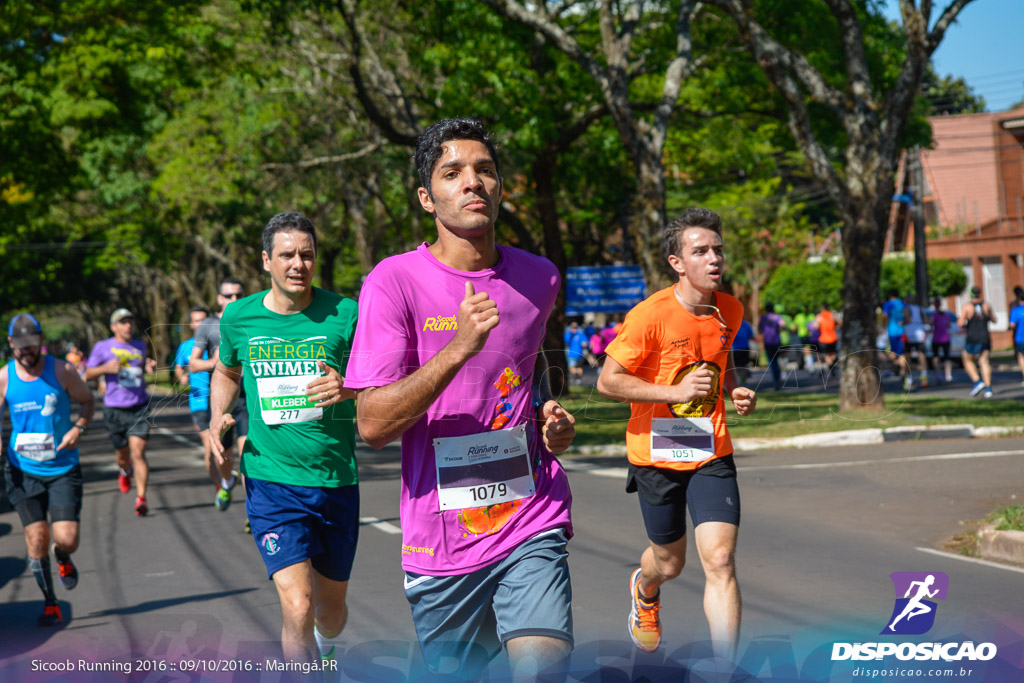 Sicoob Running: Prova Terezinha Guilhermina 2016