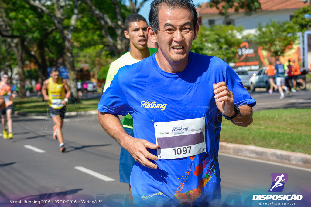 Sicoob Running: Prova Terezinha Guilhermina 2016