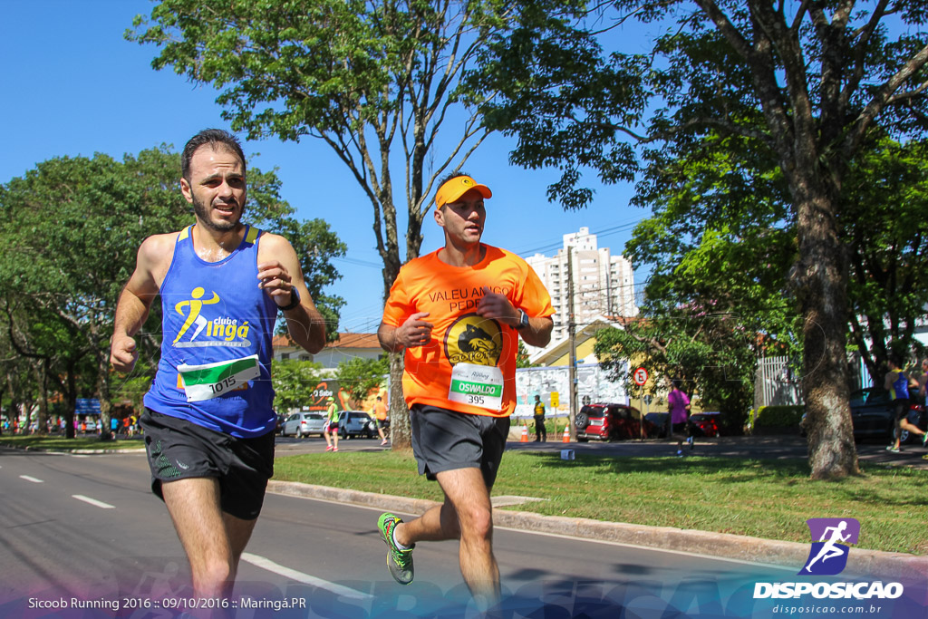 Sicoob Running: Prova Terezinha Guilhermina 2016