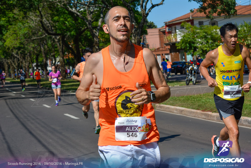 Sicoob Running: Prova Terezinha Guilhermina 2016