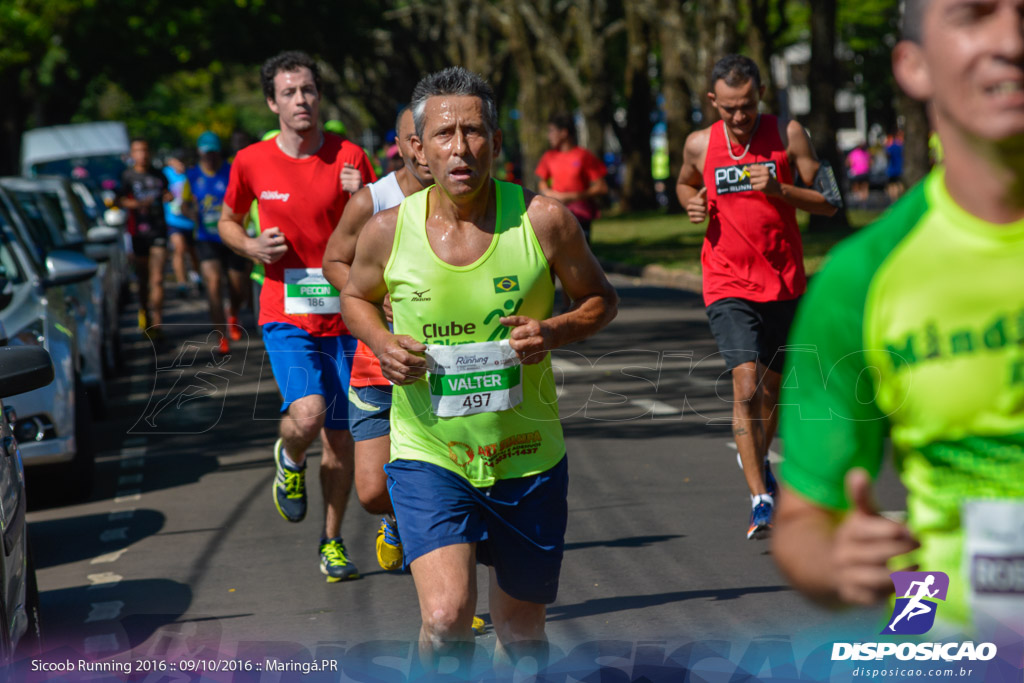 Sicoob Running: Prova Terezinha Guilhermina 2016