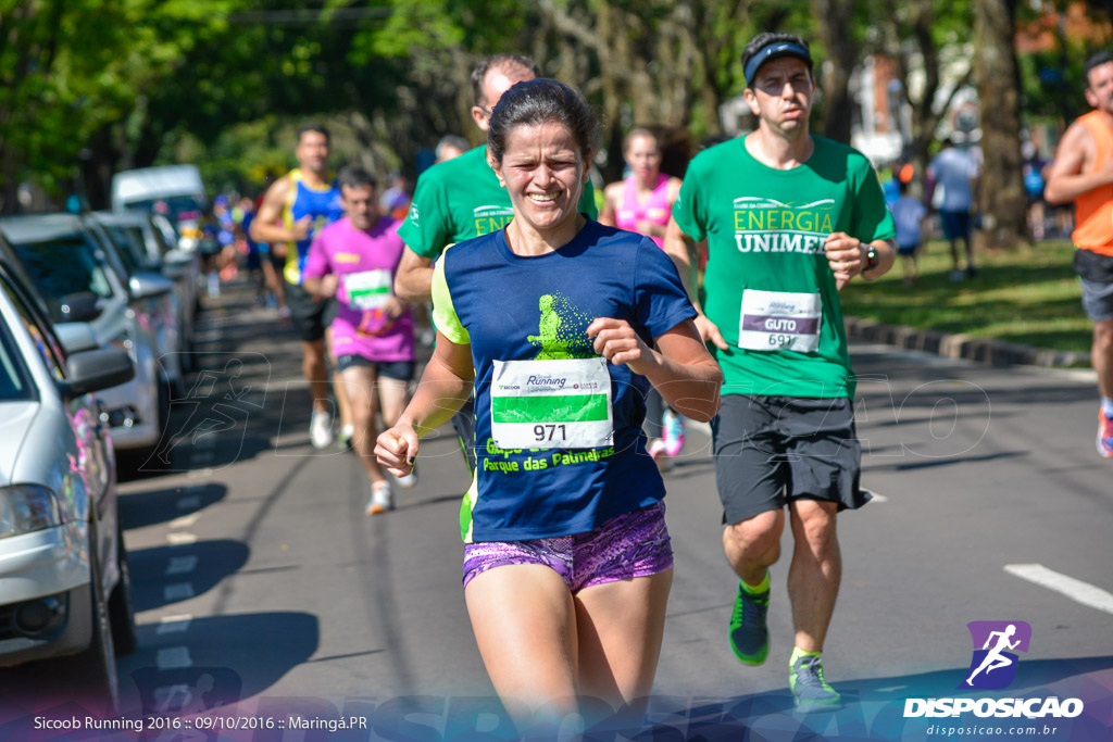 Sicoob Running: Prova Terezinha Guilhermina 2016